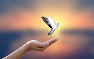 Sujet de Réflexion – Trouver sa liberté dans la Foi Chrétienne
