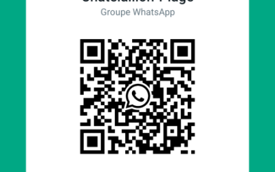 Suivez notre actualité par Whatsapp !