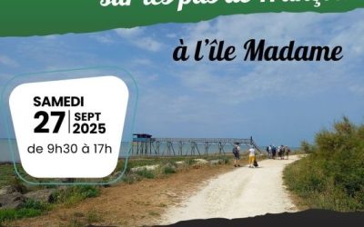 Fêtons les 10 ans de Laudato Si