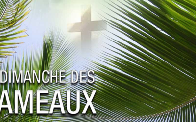 Homélie du dimanche des rameaux et de la  Passion