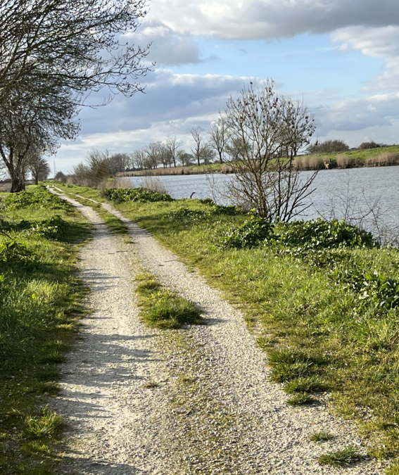 La lettre d&rsquo;Antoine