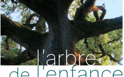 “L’arbre de l’enfance” : ciné-rencontre le vendredi 22 octobre