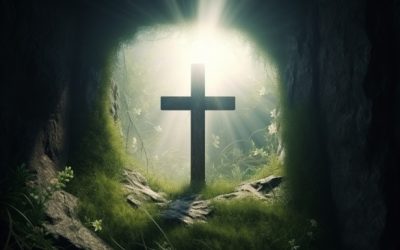 Semaine du lundi 06 avril au dimanche 12 avril 2026