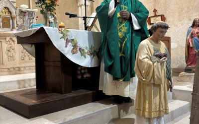 Homélie 6e dimanche TO année A