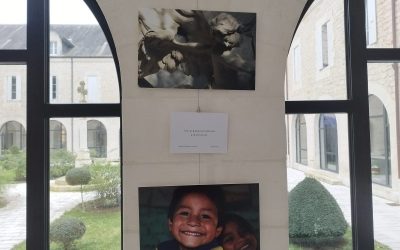 Exposition à la maison diocésaine : « Le nom de Dieu est miséricorde »
