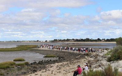 Paroisse de Royan : Messe et procession
