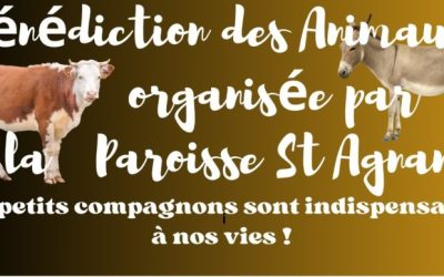 Bénédiction des animaux