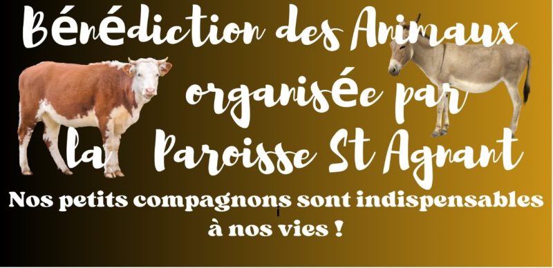 Bénédiction des animaux