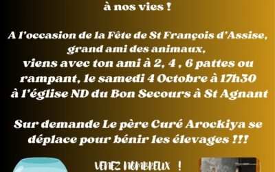 Bénédiction des animaux