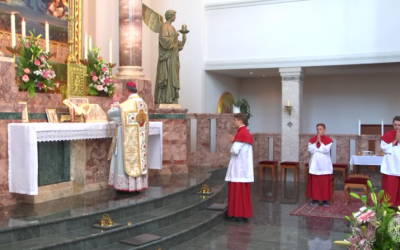 Partie 2 : contexte des sacres épiscopaux de 1988 au sein de la Fraternité Saint-Pie X