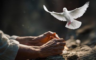 La Pentecôte approche à grand pas