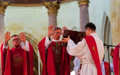 Confirmation des adultes à Saintes