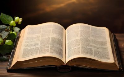Pourquoi lire la Bible ?