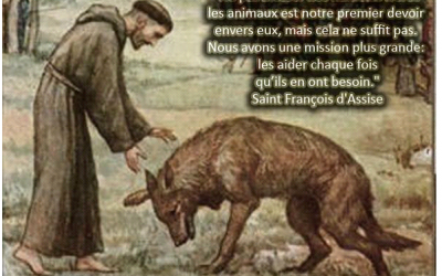 Saint François, l’ami des pauvres