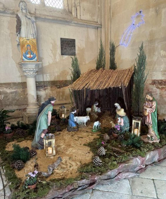 La crèche est installée à la cathédrale !