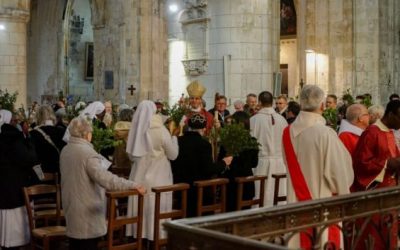 Photos de la messe des Rameaux à la cathédrale Saint Pierre