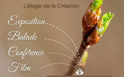 Le printemps de Souzy : vivre la biodiversité pendant les mois de mars et avril