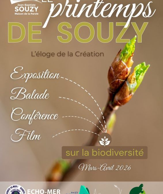 Le printemps de Souzy : vivre la biodiversité pendant les mois de mars et avril