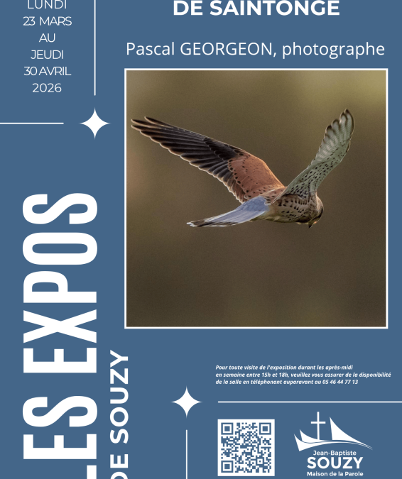 [Expos de Souzy] – Survol des marais de Saintonge