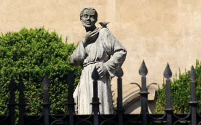 Intention de prière du Pape pour le mois de Septembre