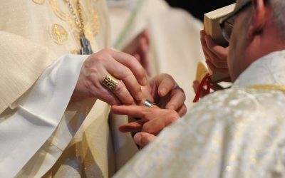 Il y a cinq ans : l’ordination épiscopale de Mgr Colomb