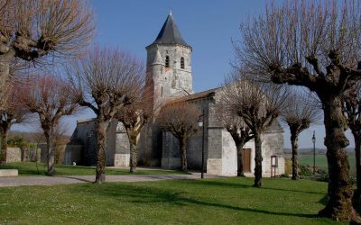 L’église Saint-Martin d’Arces-sur-Gironde, un trésor à préserver