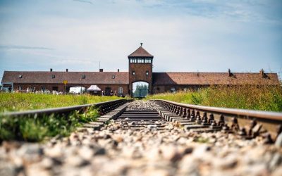 80 ans de la libération d’Auschwitz et des camps de la mort