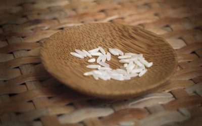 En mai, prier avec le pape pour une alimentation pour tous