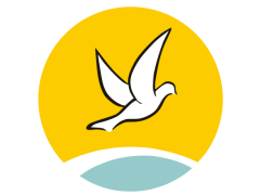Logo CVX en France